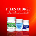 Piles Course